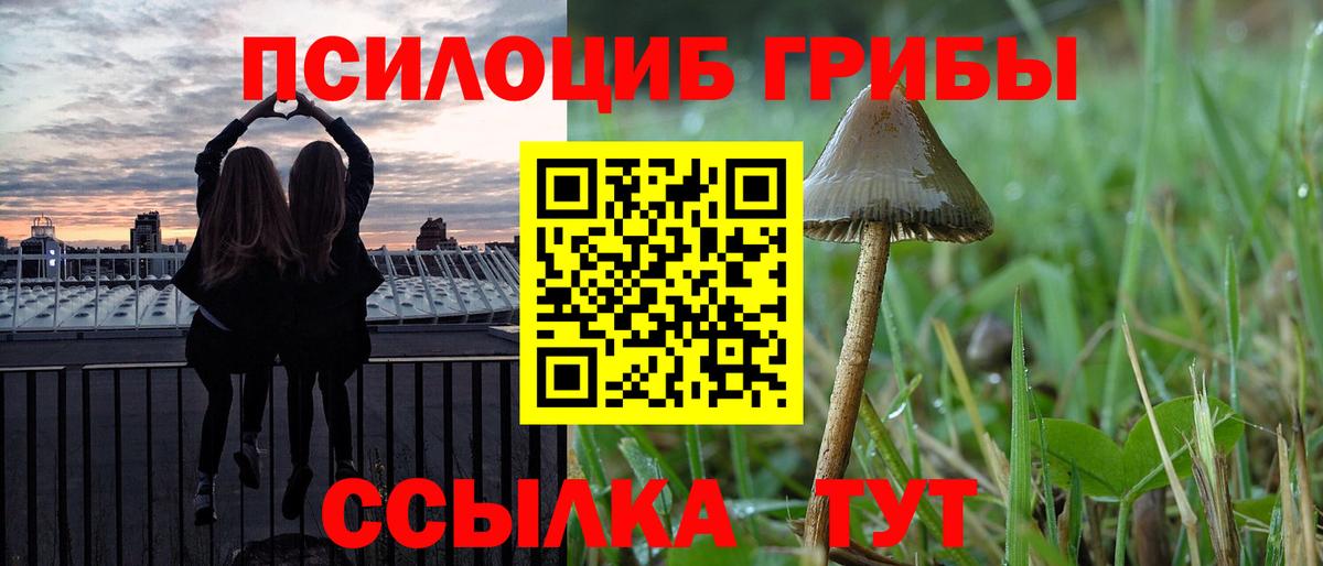 Галлюциногенные грибы мицелий  Вход с VPN  где купить наркоту  Можга 