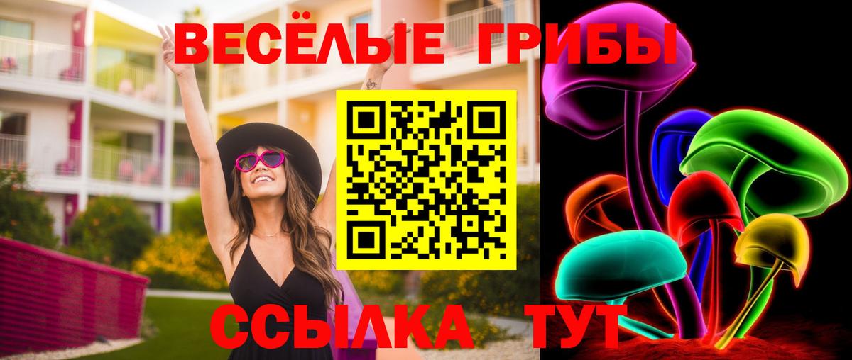 Галлюциногенные грибы ЛСД  Можга 